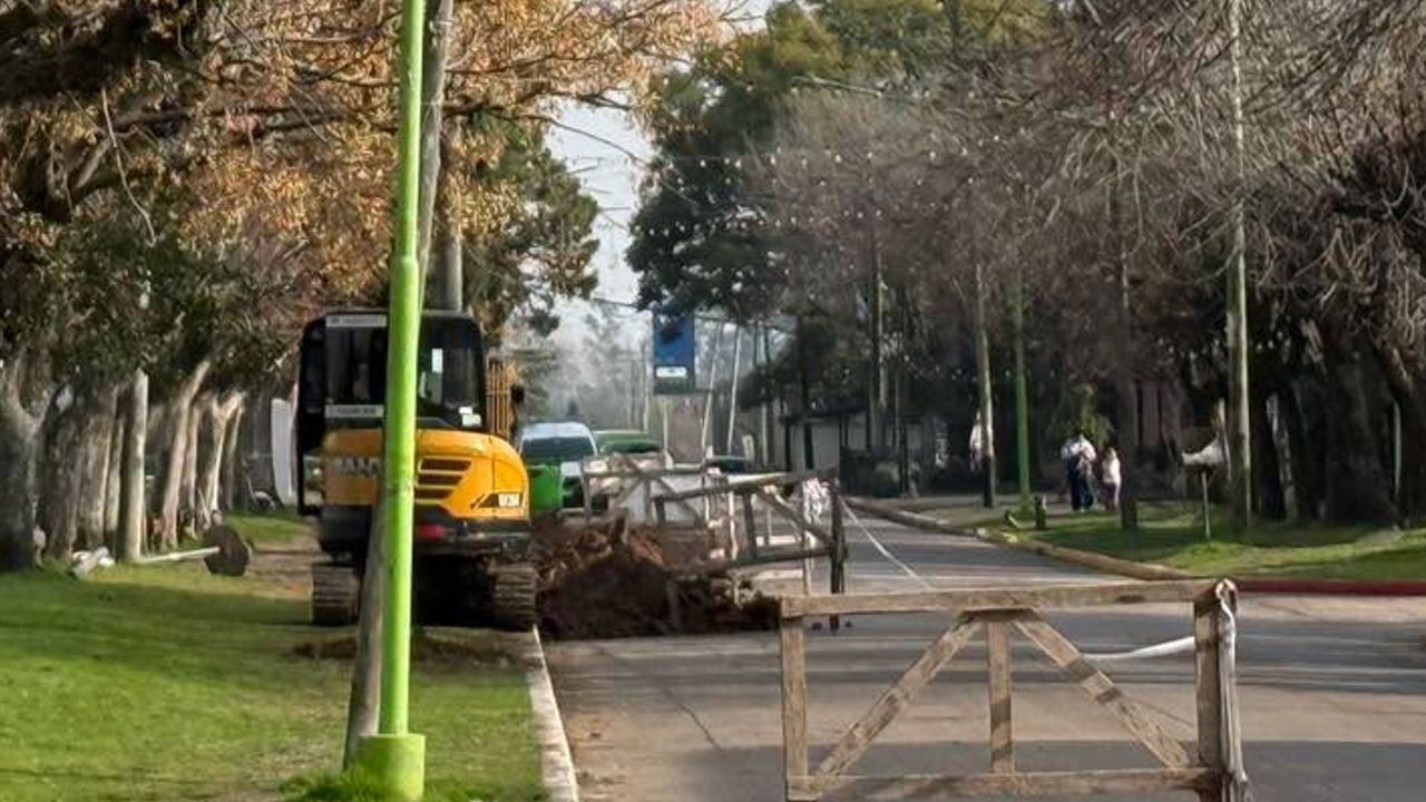 PUESTA EN MARCHA DEL PLAN DE REFORESTACIÓN EN LA PLAZA MITRE