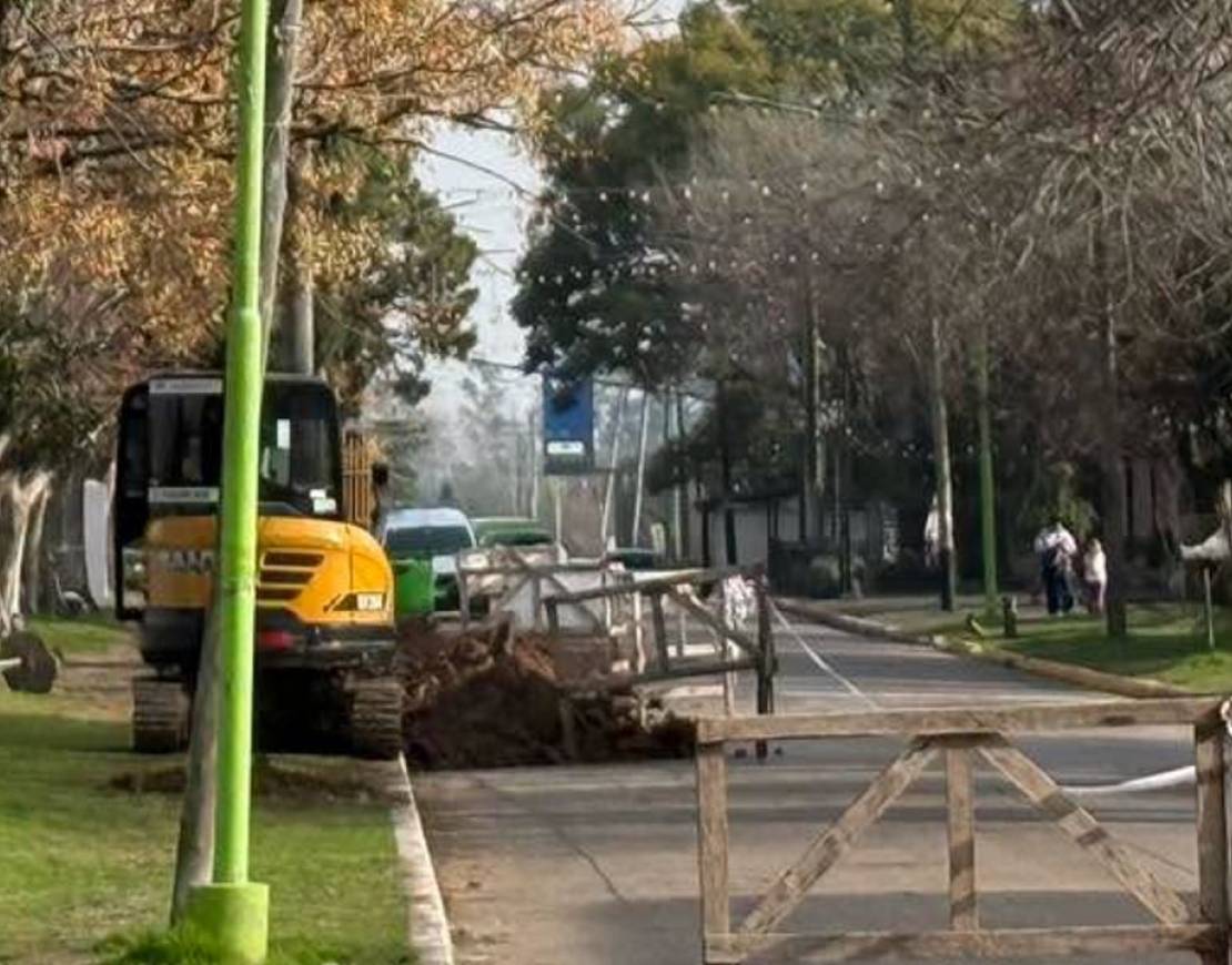 PUESTA EN MARCHA DEL PLAN DE REFORESTACIÓN EN LA PLAZA MITRE